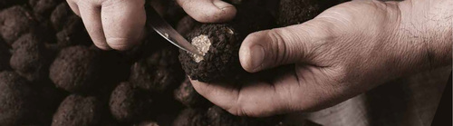cutting tartufo nero.jpg